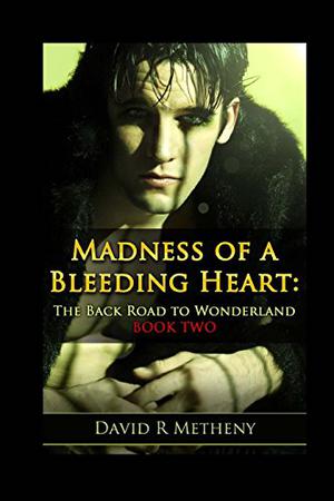 Madness of a Bleeding Heart by David R. Metheny