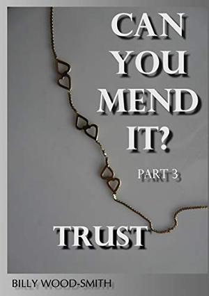 Can You Mend It?: Part 3: Trust (Can You Mend It? #3)