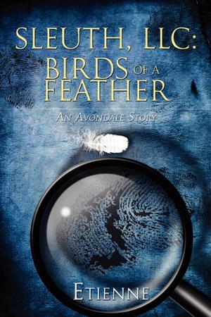 Sleuth, LLC: Birds of a Feather (The Avondale Stories #4)
