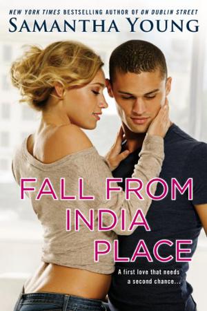 Fall from India Place (On Dublin Street #4)
