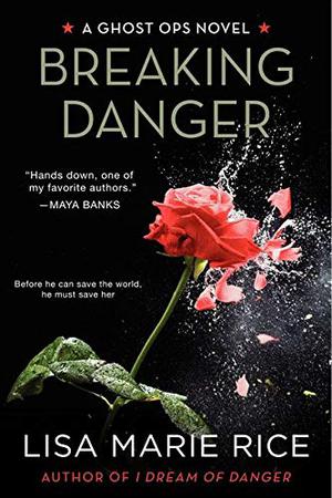 Breaking Danger (Ghost Ops #3)