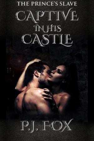 Captive In His Castle (The Prince's Slave #1)