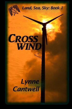 Crosswind by Lynne Cantwell