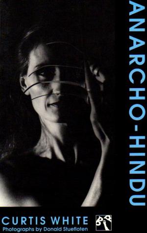 Anarcho-Hindu by Curtis White, D.N. Stuefloten
