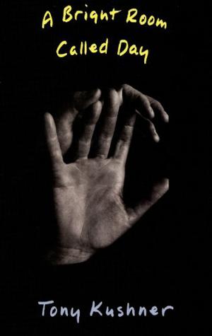 A Bright Room Called Day by Tony Kushner