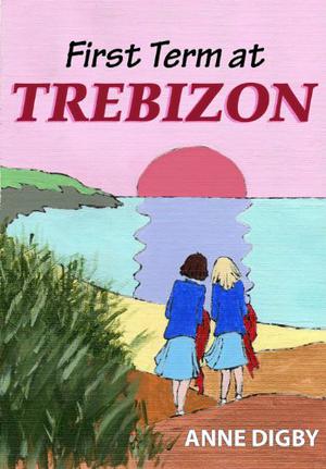 First Term at Trebizon by Anne Digby