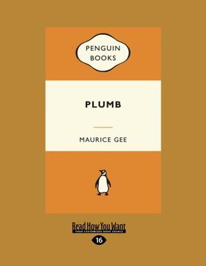 Plumb by Maurice Gee