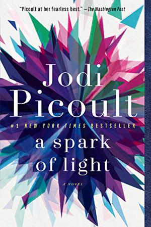 A Spark of Light by Jodi Picoult