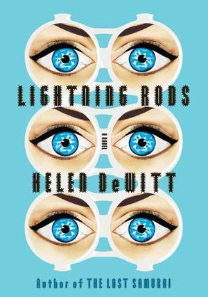 Lightning Rods by Helen DeWitt