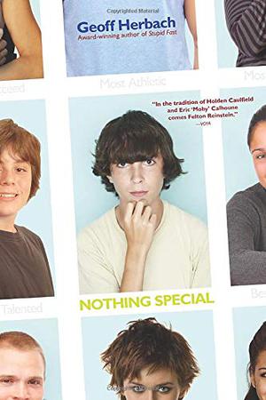 Nothing Special (Stupid Fast #2)