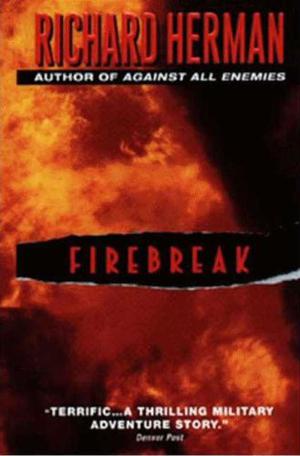 Firebreak (Matt Pontowski #1)