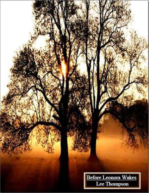 Before Leonora Wakes (Division #1)