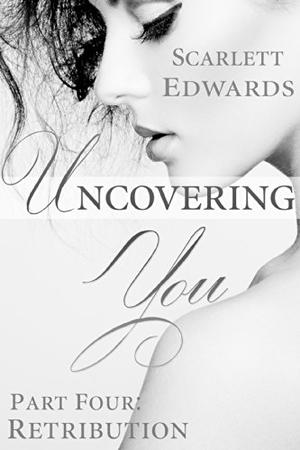 Retribution (Uncovering You #4)