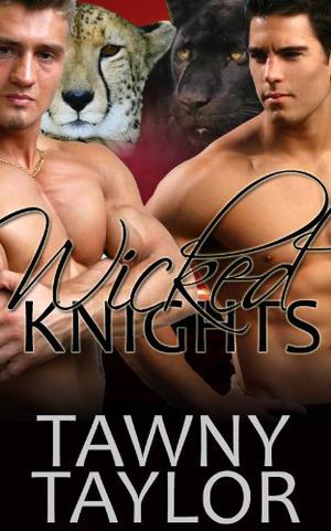 Wicked Nights (Passion Unbound #2)