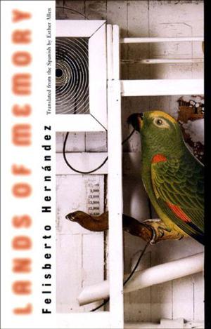 Lands of Memory by Felisberto Hernández, Esther Allen