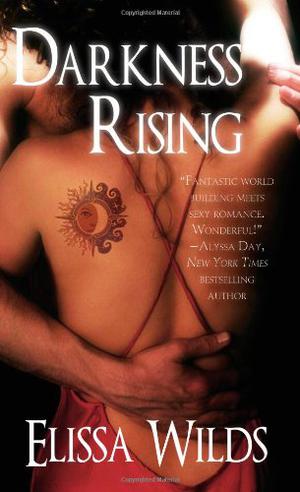 Darkness Rising by Elissa Wilds