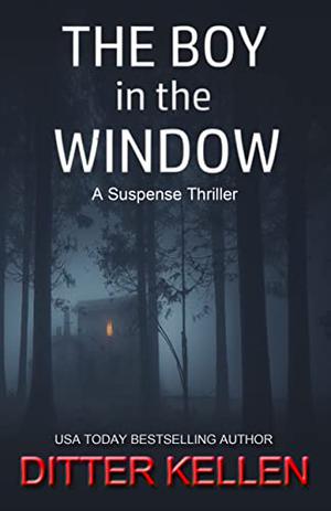 The Boy in the Window by Ditter Kellen