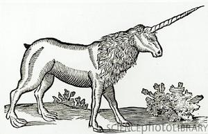 The Unicorn Crisis by Jon Rosenberg