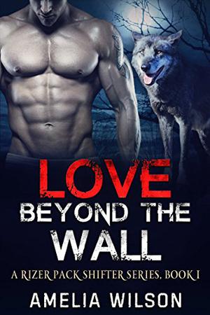 Love Beyond the wall by Amelia Wilson
