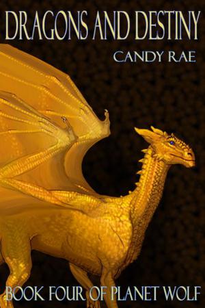 Dragons and Destiny by Candy Rae