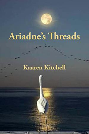 Who's Your Daddy by Arisa White