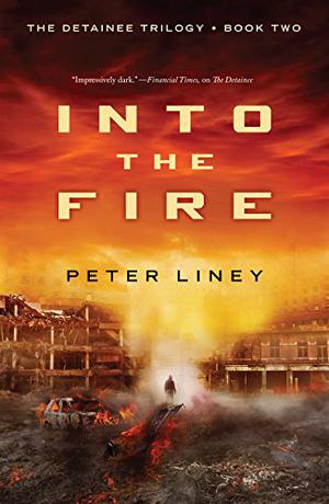 Into The Fire by Peter Liney