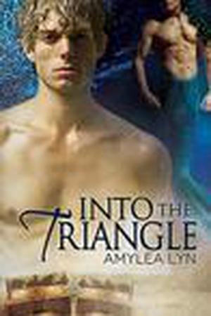 Into the Triangle by Amylea Lyn