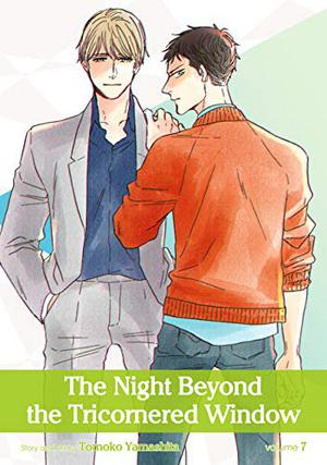 The Night Beyond the Tricornered Window, Vol. 7 by Tomoko Yamashita