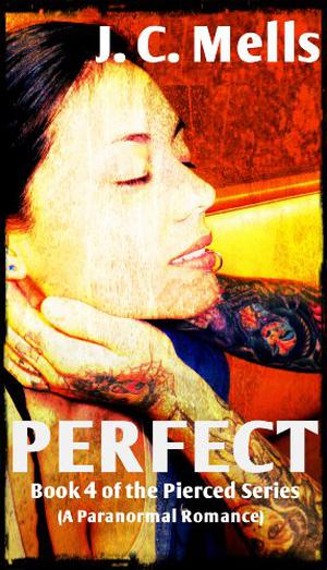 Perfect by J.C. Mells