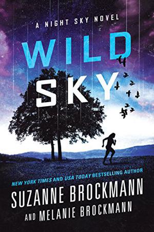 Wild Sky (Night Sky #2)
