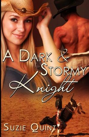 A Dark & Stormy Knight (McKnight Romance #3)