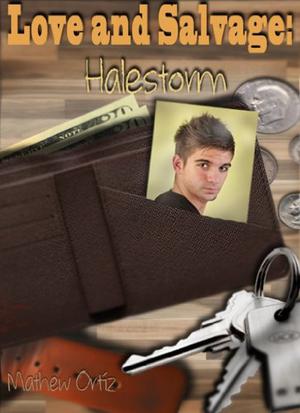 Halestorm (Love and Salvage #3)