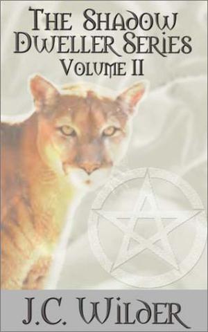 Retribution by J.C. Wilder