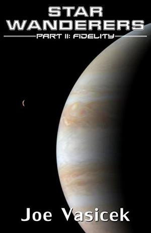 Fidelity by Joe Vasicek