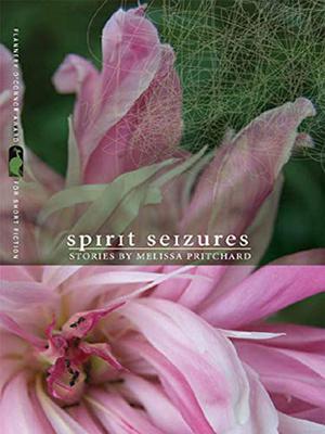 Spirit Seizures: Stories by Melissa Pritchard