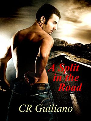 A Split in the Road (Vampire Wars #3)