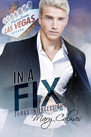In a Fix by Mary Calmes