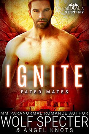 Ignite (Dragon's Destiny: Fated Mates #3)