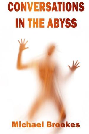 Conversations in the Abyss by Michael Brookes