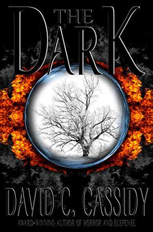 The Dark by David C. Cassidy
