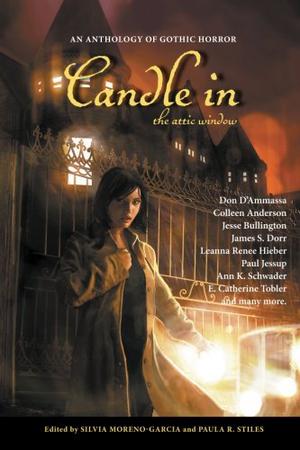 Candle in the Attic Window by Silvia Moreno-Garcia, Orrin Grey, E. Catherine Tobler, Paul Jessup, Jesse Bullington, Colleen Anderson, Desmond Warzel, Alexis Brooks De Vita, Ann K. Schwader, Martha Hubbard, Jim Blackstone, Mary E. Choo, Leanna Renee Hieber, Sarah Hans, Mary Cook, T.S. Bazelli, Meddy Ligner, Wenona Napolitano, Amanda C. Davis, Don D’Ammassa, Bobby Cranestone, Ryan Harvey, Berit Ellingsen, Nelly Geraldine García-Rosas, Joshua Reynolds, Maria Mitchell, James Dorr
