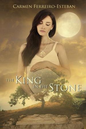The King in the Stone (Two Moon Princess #2)