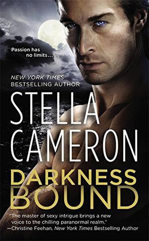 Darkness Bound by Stella Cameron