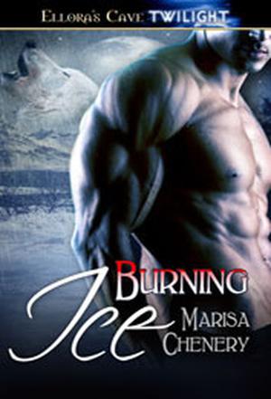 Burning Ice by Marisa Chenery