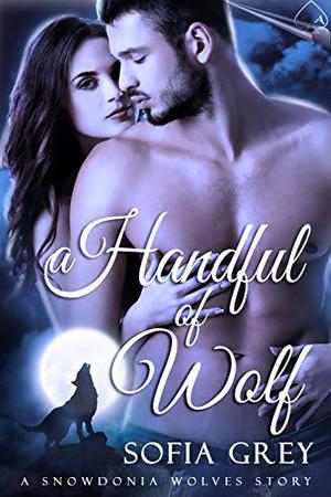A Handful of Wolf (Snowdonia Wolves #2)