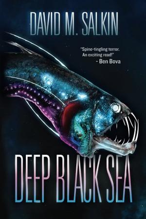 Deep Black Sea by David M. Salkin