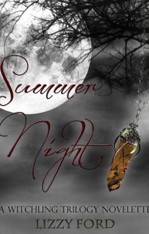 Summer Night by Lizzy Ford