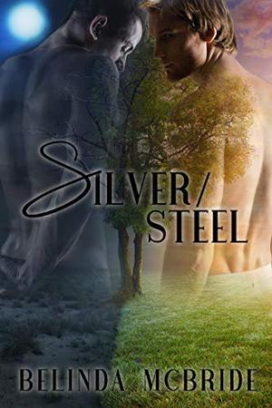 Silver/Steel (Arcada #4)