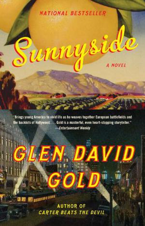 Sunnyside by Glen David Gold