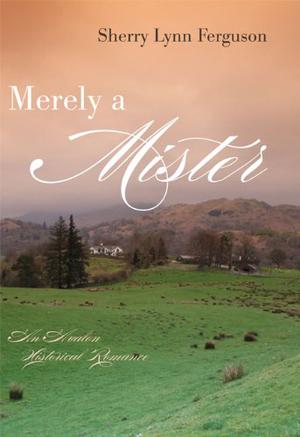 Merely A Mister by Sherry Lynn Ferguson